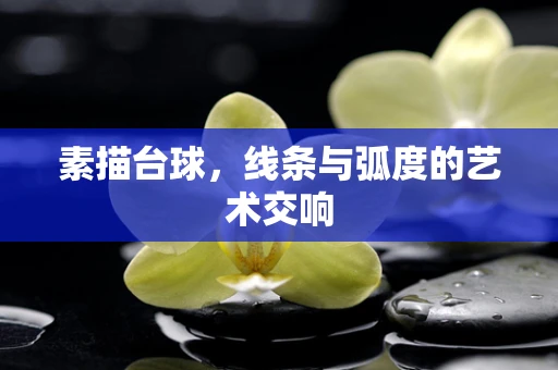 素描台球，线条与弧度的艺术交响