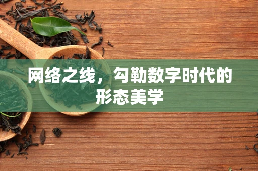 网络之线，勾勒数字时代的形态美学