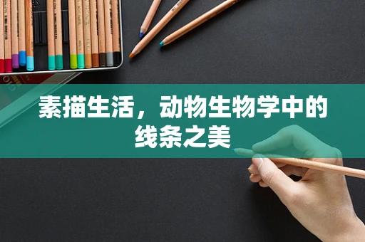 素描生活，动物生物学中的线条之美
