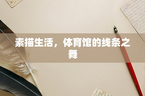 素描生活，体育馆的线条之舞