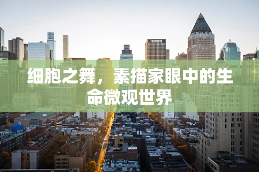 细胞之舞，素描家眼中的生命微观世界