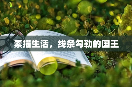 素描生活，线条勾勒的国王