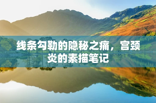 线条勾勒的隐秘之痛，宫颈炎的素描笔记