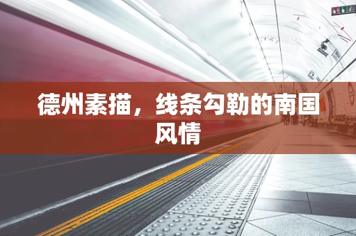 德州素描，线条勾勒的南国风情