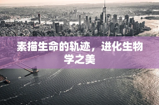 素描生命的轨迹，进化生物学之美