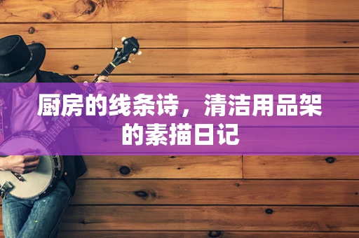 厨房的线条诗，清洁用品架的素描日记