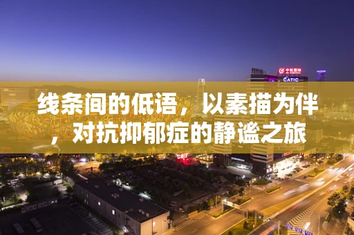 线条间的低语，以素描为伴，对抗抑郁症的静谧之旅