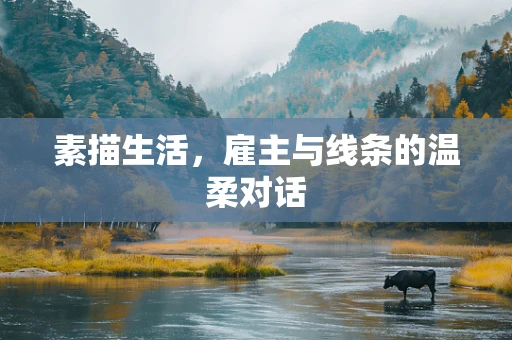 素描生活，雇主与线条的温柔对话