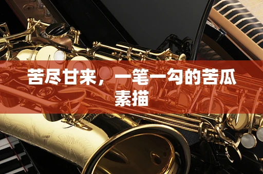苦尽甘来，一笔一勾的苦瓜素描