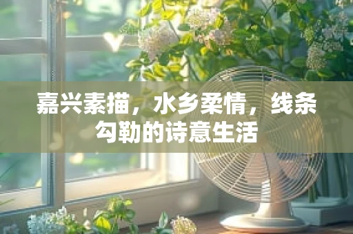 嘉兴素描，水乡柔情，线条勾勒的诗意生活