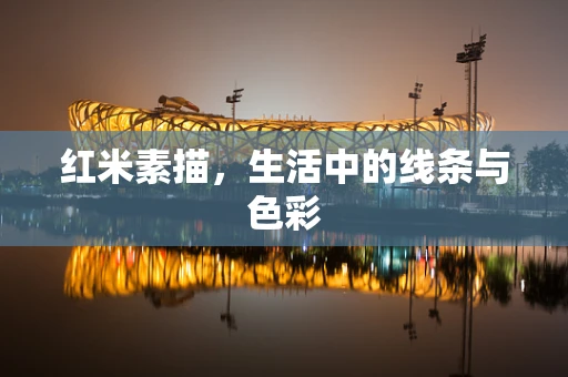 红米素描，生活中的线条与色彩
