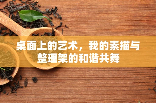 桌面上的艺术，我的素描与整理架的和谐共舞