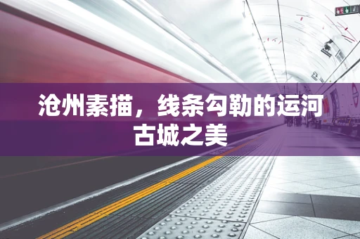 沧州素描，线条勾勒的运河古城之美