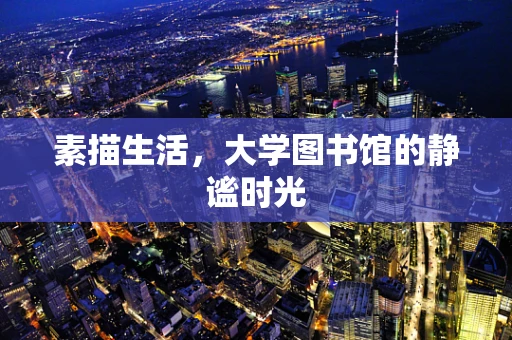 素描生活，大学图书馆的静谧时光