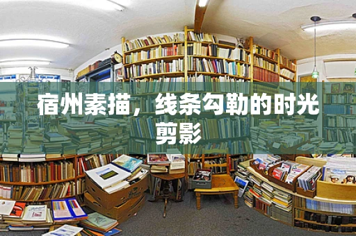宿州素描，线条勾勒的时光剪影