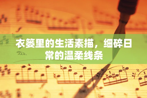 衣篓里的生活素描，细碎日常的温柔线条