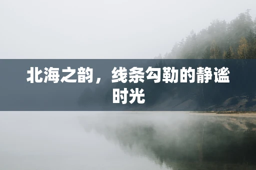 北海之韵，线条勾勒的静谧时光