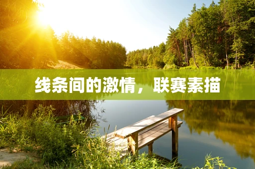 线条间的激情，联赛素描