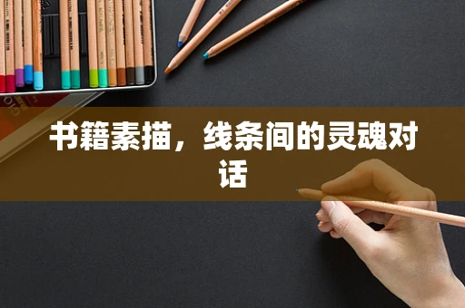 书籍素描，线条间的灵魂对话