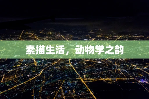 素描生活，动物学之韵