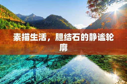素描生活，胆结石的静谧轮廓
