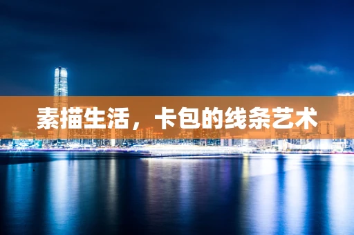 素描生活，卡包的线条艺术