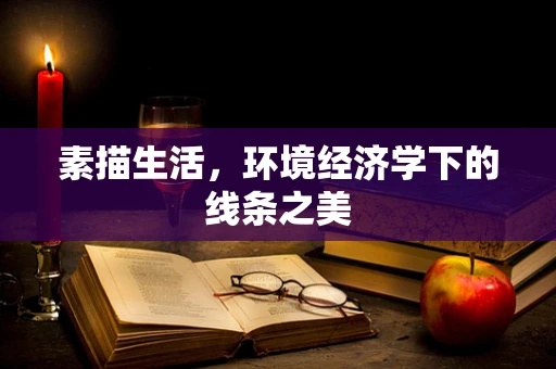 素描生活，环境经济学下的线条之美