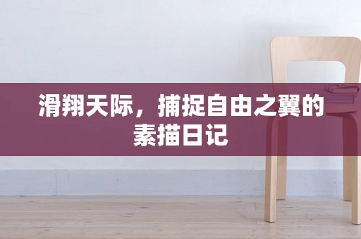 滑翔天际，捕捉自由之翼的素描日记