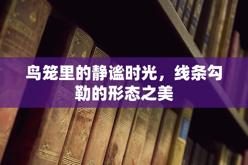 鸟笼里的静谧时光，线条勾勒的形态之美