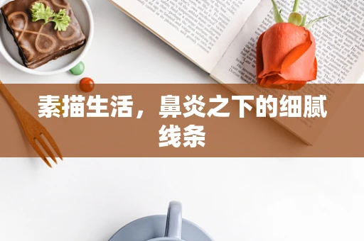 素描生活，鼻炎之下的细腻线条