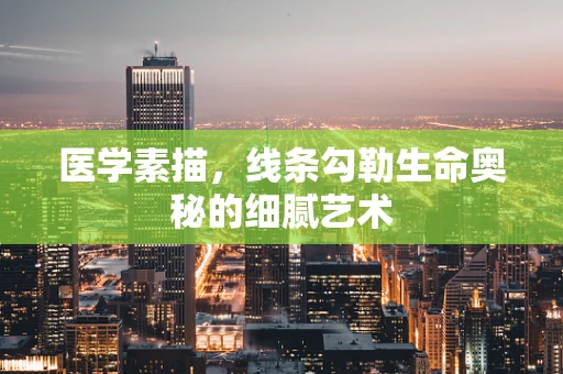 医学素描，线条勾勒生命奥秘的细腻艺术