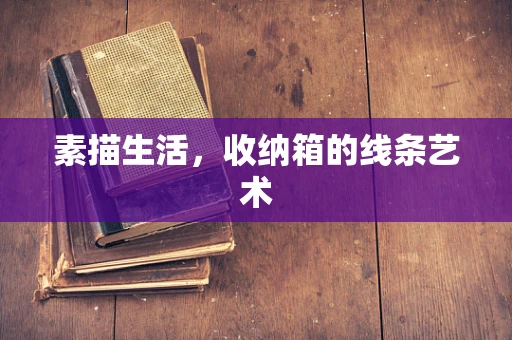 素描生活，收纳箱的线条艺术