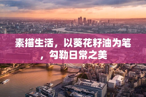 素描生活，以葵花籽油为笔，勾勒日常之美