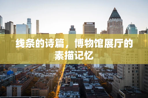 线条的诗篇，博物馆展厅的素描记忆