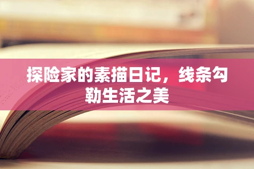 探险家的素描日记，线条勾勒生活之美