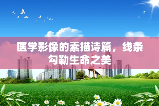 医学影像的素描诗篇，线条勾勒生命之美