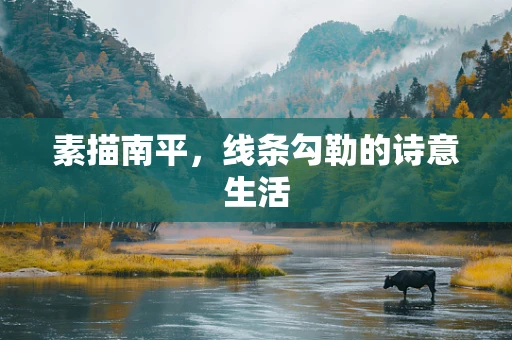 素描南平，线条勾勒的诗意生活