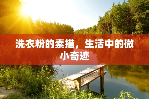 洗衣粉的素描，生活中的微小奇迹