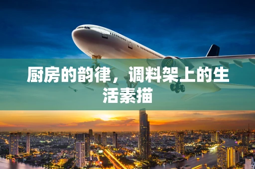 厨房的韵律，调料架上的生活素描