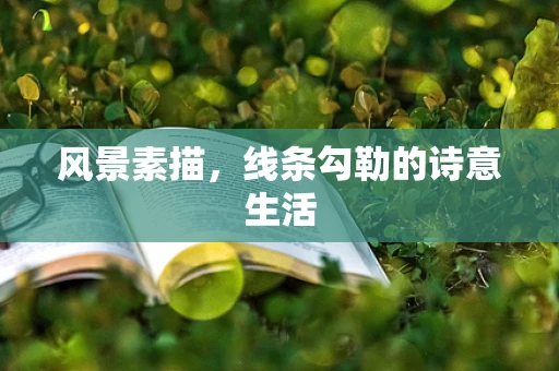 风景素描，线条勾勒的诗意生活