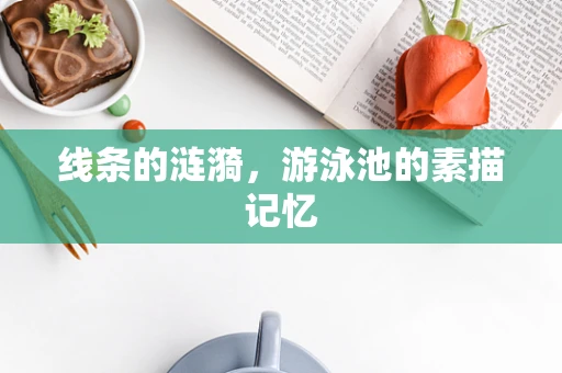 线条的涟漪，游泳池的素描记忆