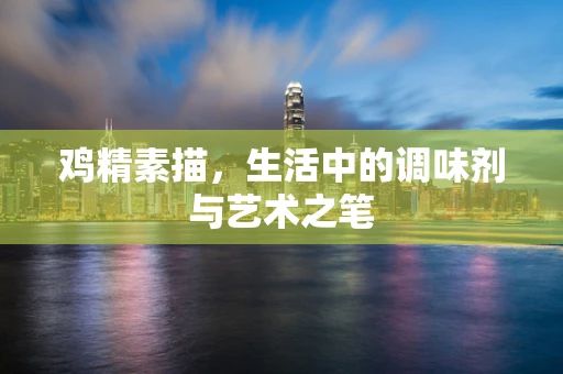 鸡精素描，生活中的调味剂与艺术之笔