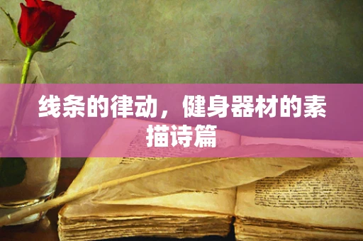 线条的律动，健身器材的素描诗篇