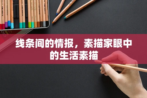 线条间的情报，素描家眼中的生活素描