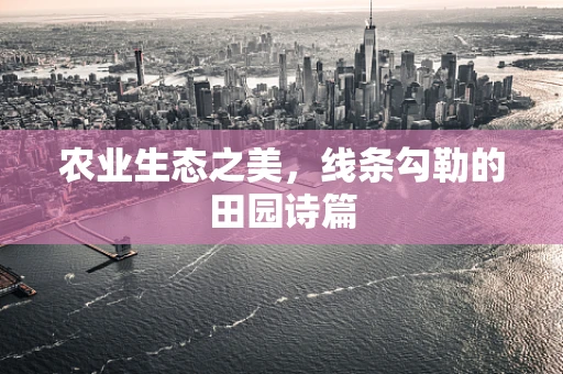 农业生态之美，线条勾勒的田园诗篇