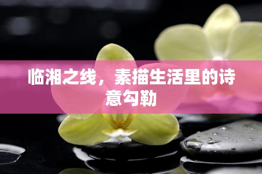 临湘之线，素描生活里的诗意勾勒