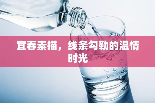 宜春素描，线条勾勒的温情时光