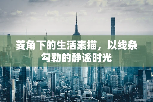 菱角下的生活素描，以线条勾勒的静谧时光
