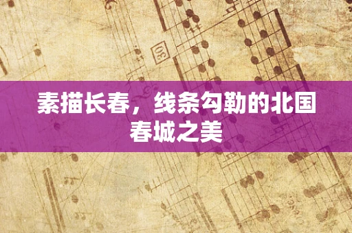 素描长春，线条勾勒的北国春城之美