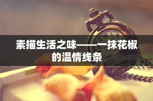 素描生活之味——一抹花椒的温情线条